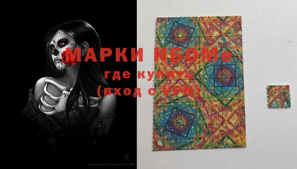прущие грибы Медногорск