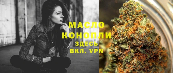 прущие грибы Медногорск