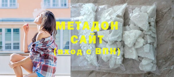 прущие грибы Медногорск