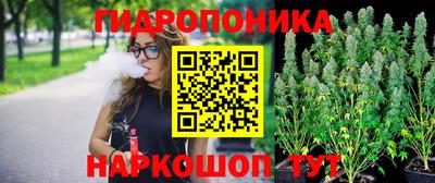 гашик Балахна