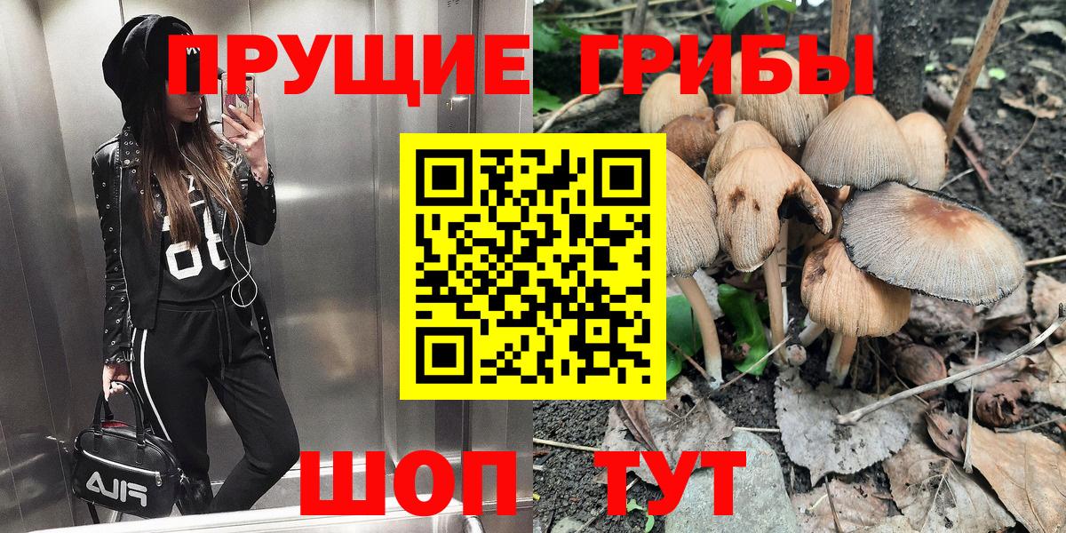 Галлюциногенные грибы Psilocybe Камышлов