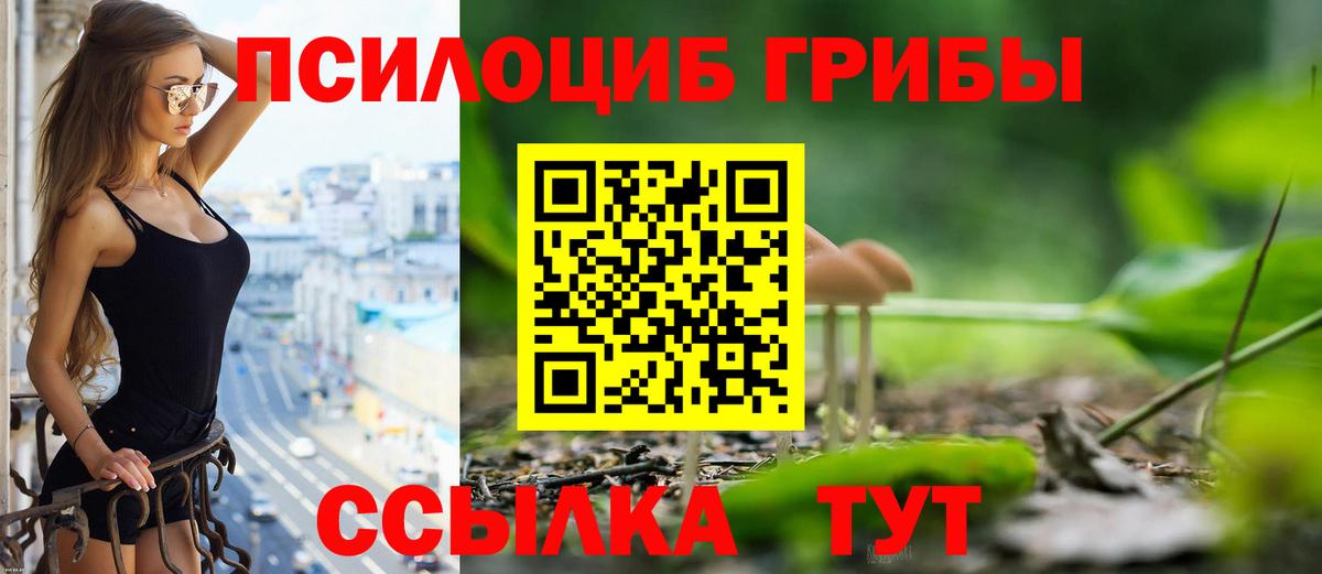 Галлюциногенные грибы Cubensis  Камышлов 