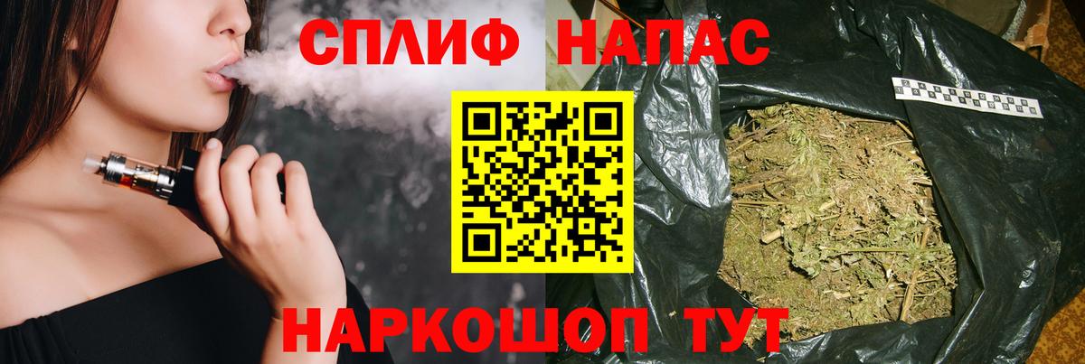 Бошки Шишки планчик  Камышлов  Канабис семена 